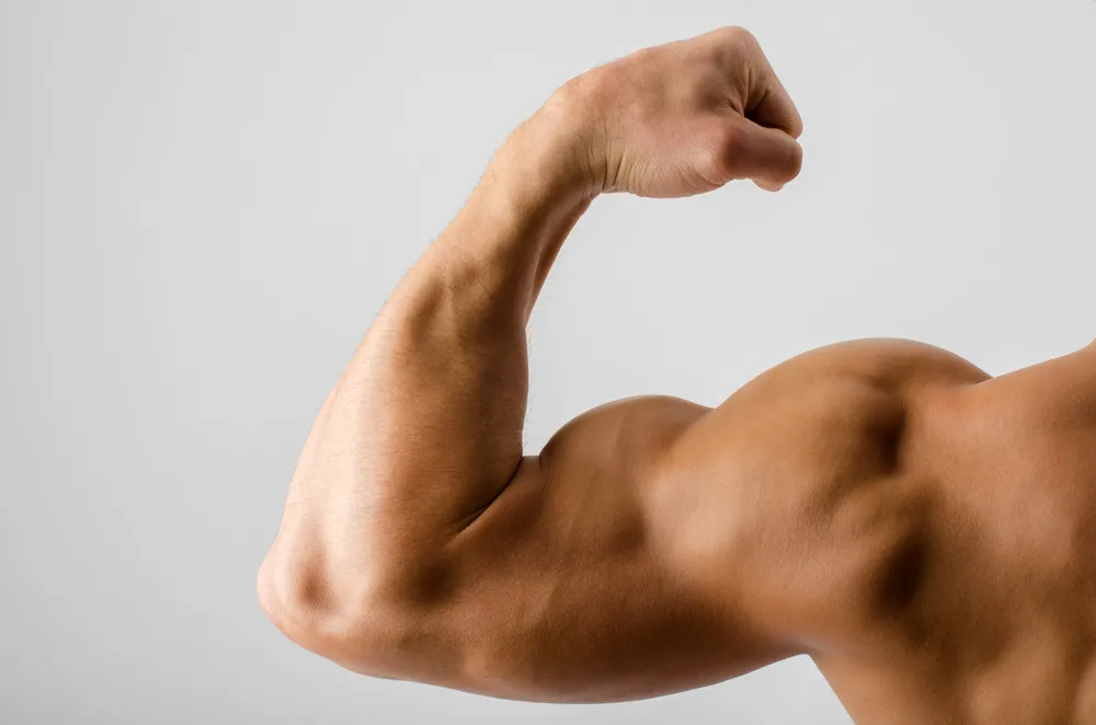 Prendre de la masse musculaire efficacement