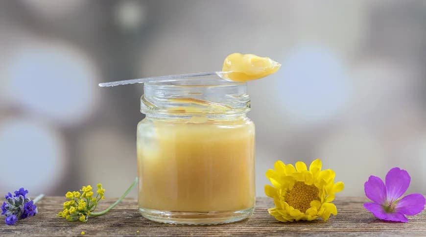 Gelée Royale : Bienfaits Santé & Bien-Être