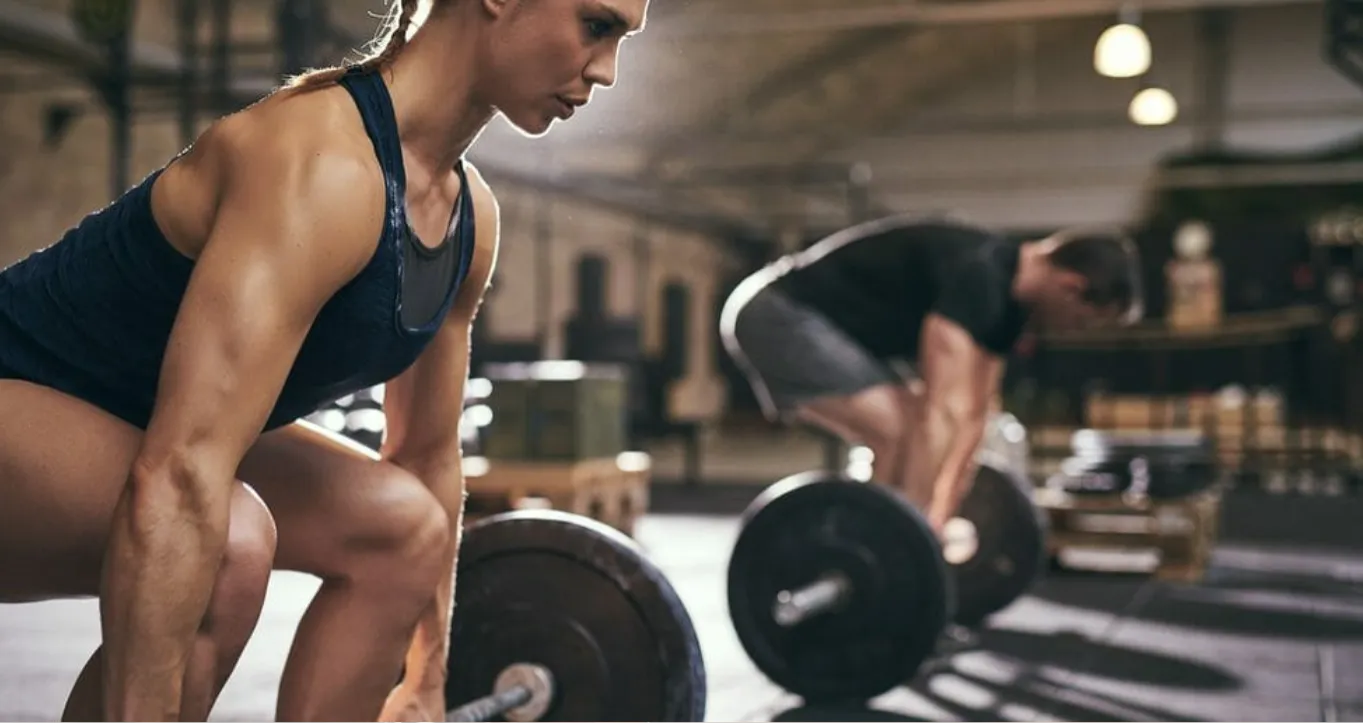 La musculation permet le gain de force et la prise de masse musculaire.